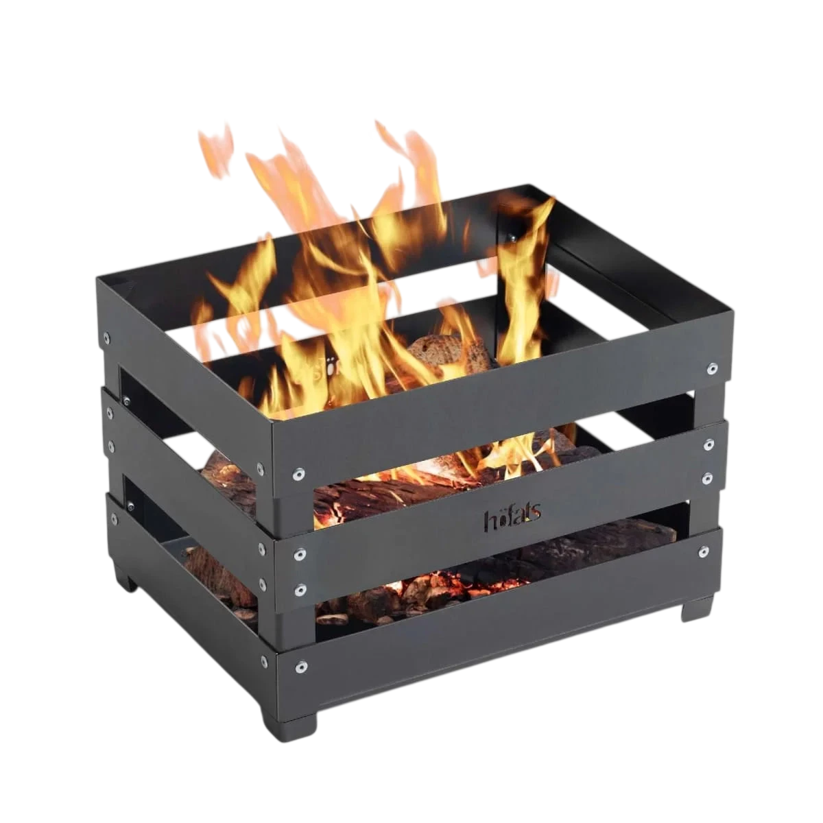 Foyer de feu en métal noir avec des flammes